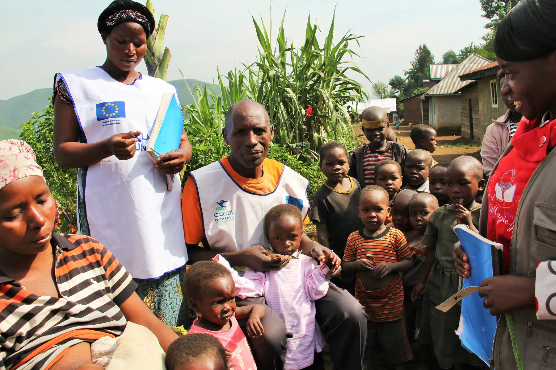 Programme and Impact Verification